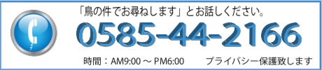 電話番号バナー.ai